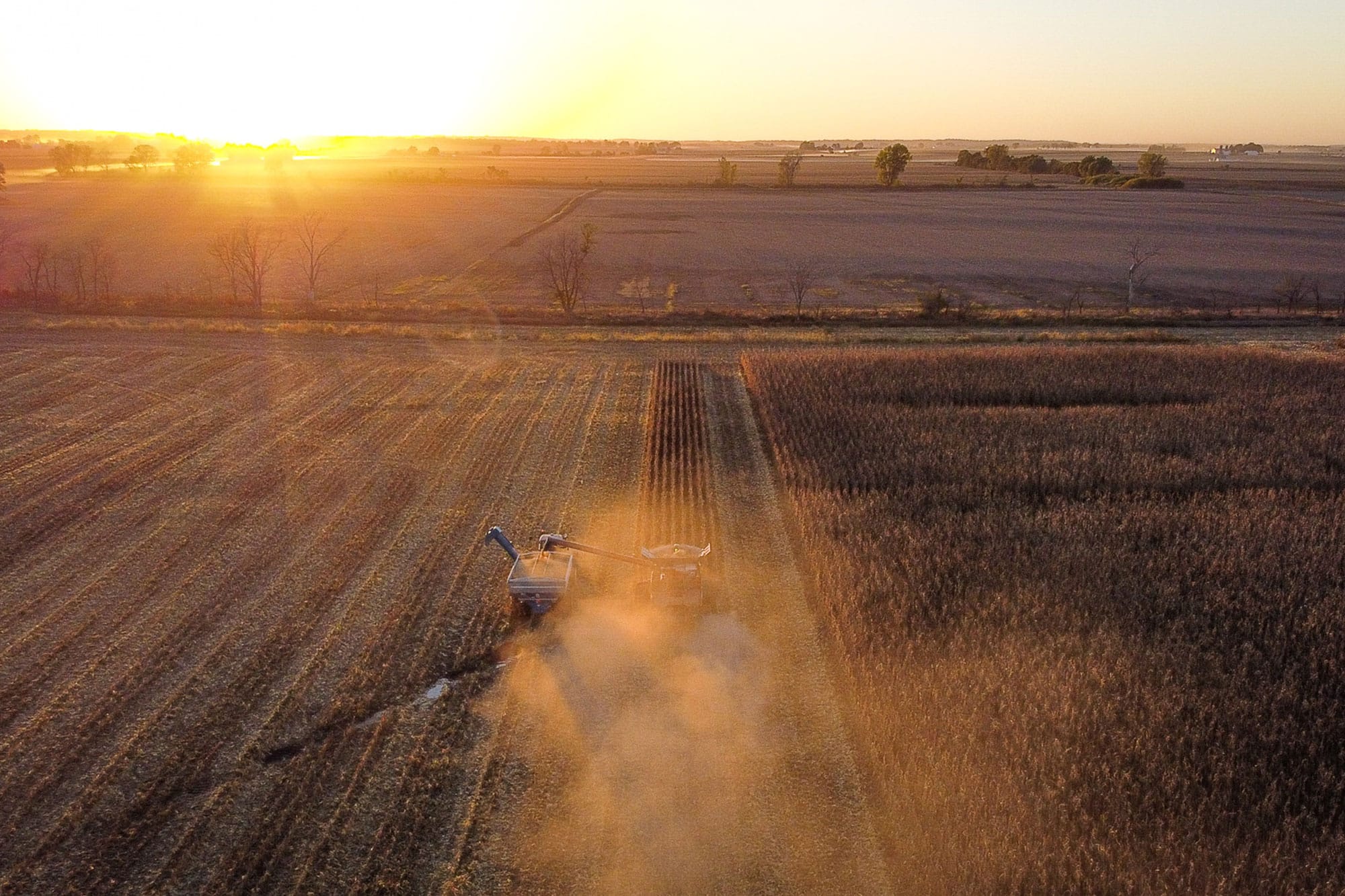 Land Auctions