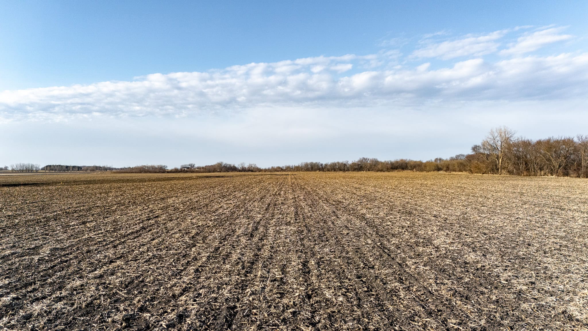 farmland for sale