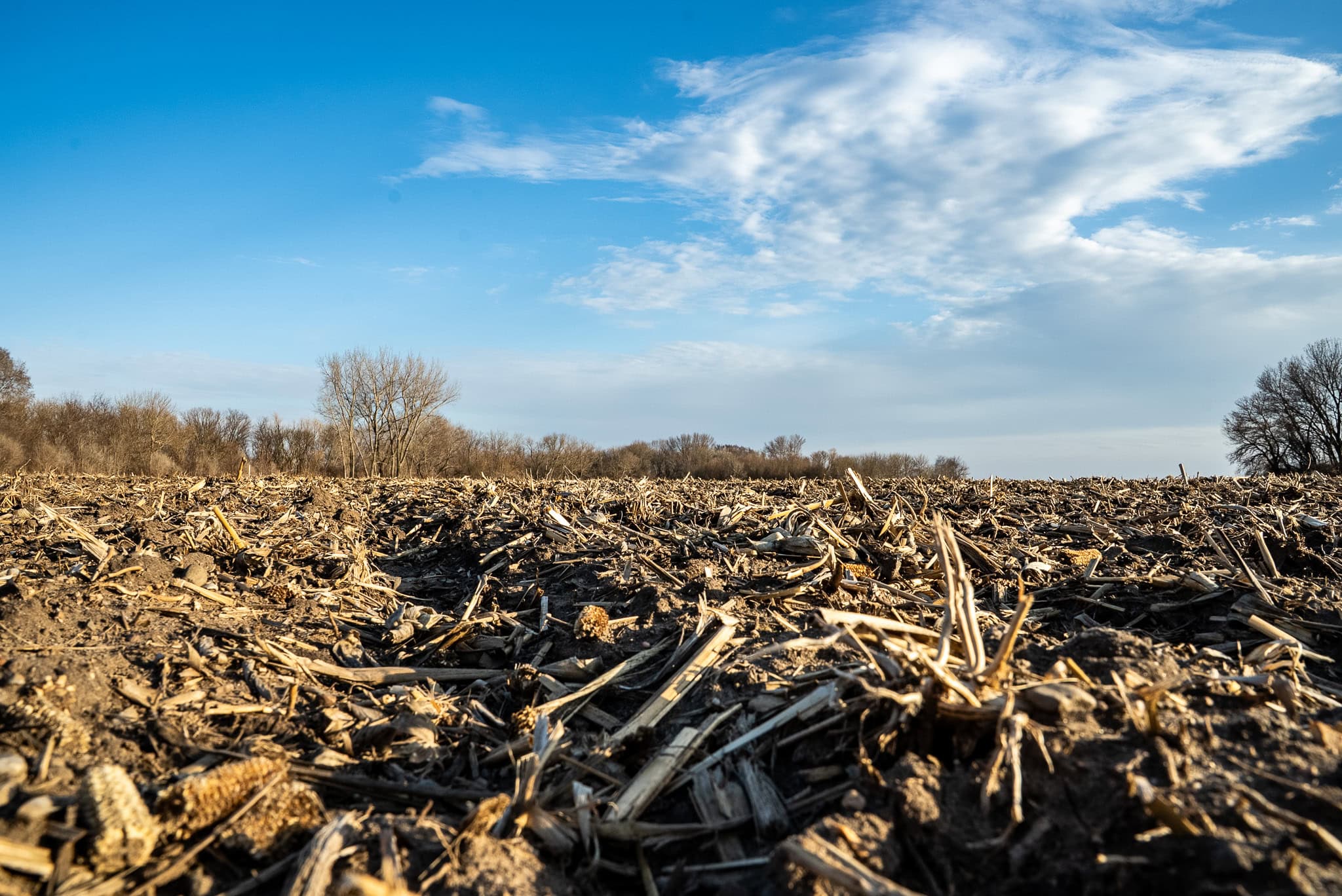 Midwest farmland